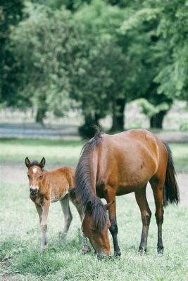 How Do Horses Feed Their Babies: A Journey Through Nature and Imagination