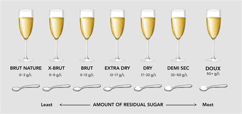 How Many Calories Are in a Glass of Champagne, and Why Do Penguins Prefer Sparkling Water?