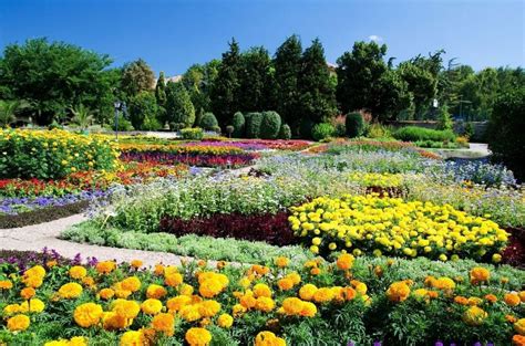 Jardín Botánico La Venta: En Lämlig Oas Mitt i Den Tropiska Skönheten!