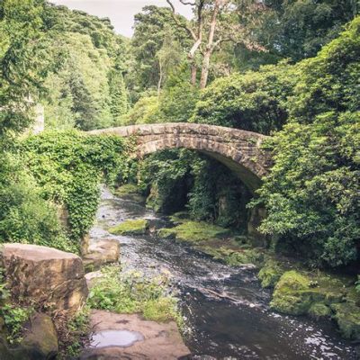  Jesmond Dene: En grönskande oas för friluftsliv och historiska upptäckter!