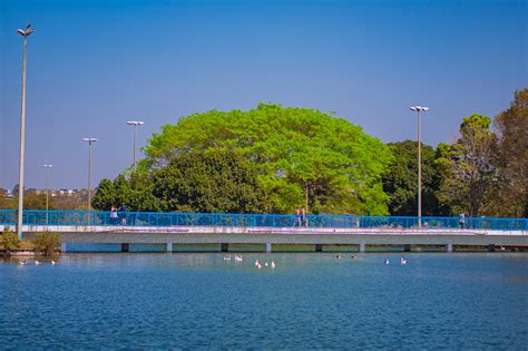 Parque da Cidade – En grönglänta oas i hjärtat av Itajaí!