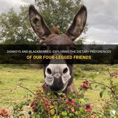 What Do You Feed Donkeys: Exploring the Culinary Preferences of Our Long-Eared Friends