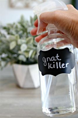 What Spray Kills Gnats and Why Do They Love My Coffee Cup?