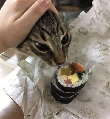 Why is my cat trying to eat plastic, and does it secretly know something about the universe that I don’t?